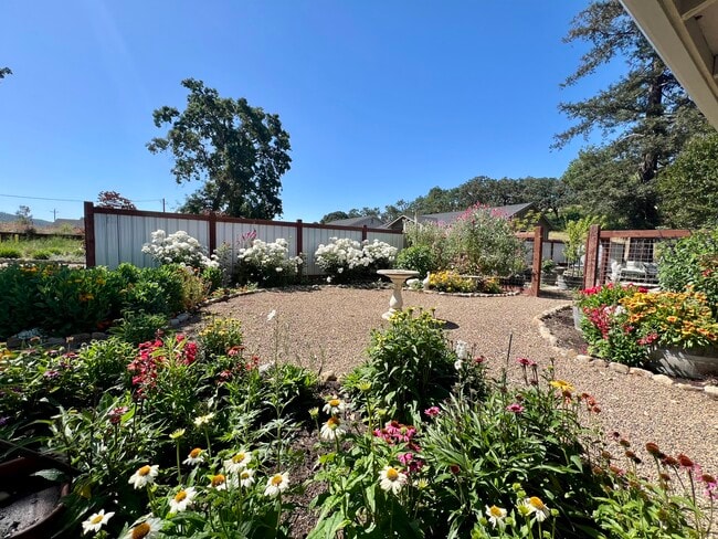 Building Photo - 13650 Sonoma Hwy