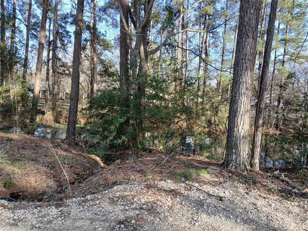 Primary Photo - 26420 Leisure Ln