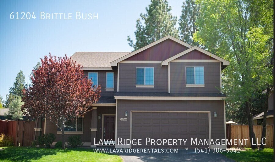 Primary Photo - 61204 Brittle Bush St