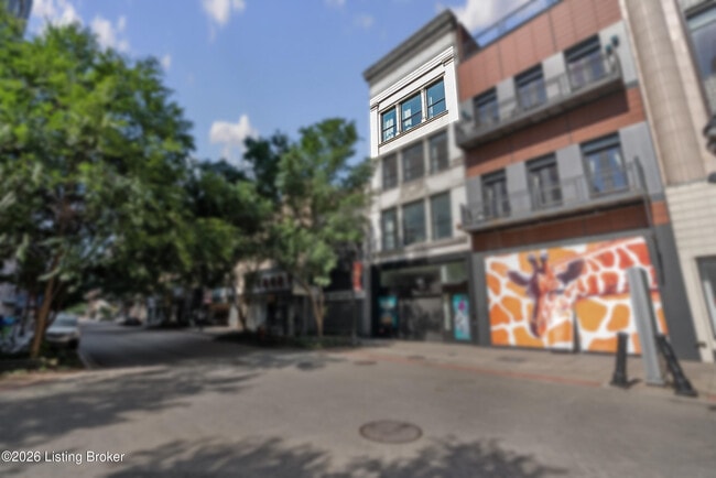 Building Photo - 540 S 4th St