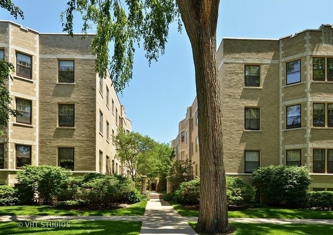 tree lined street - 809 Judson Ave