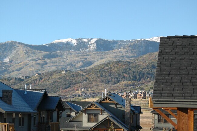 Patio view - 1646 Fox Hollow Ln