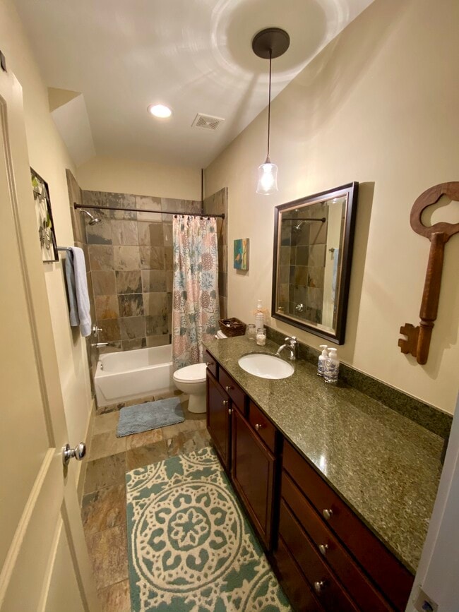 Downstairs bathroom. Granite countertops. Tub/shower combo. - 1728 W 25th St
