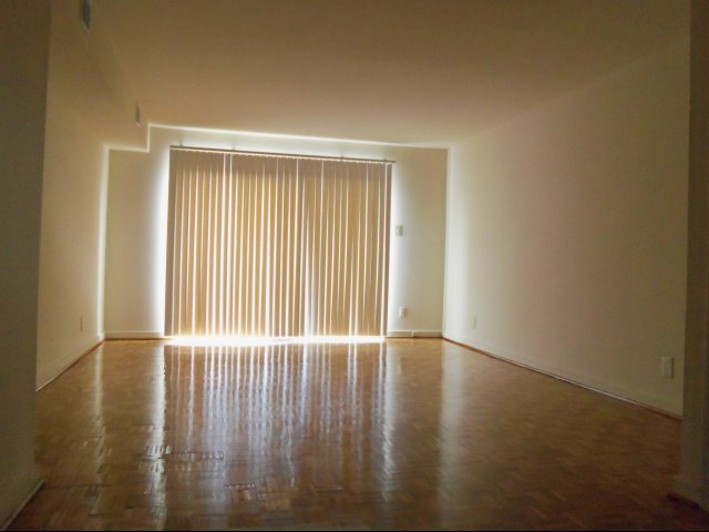 Living room connecting to private patio - 1003 N Hamilton St