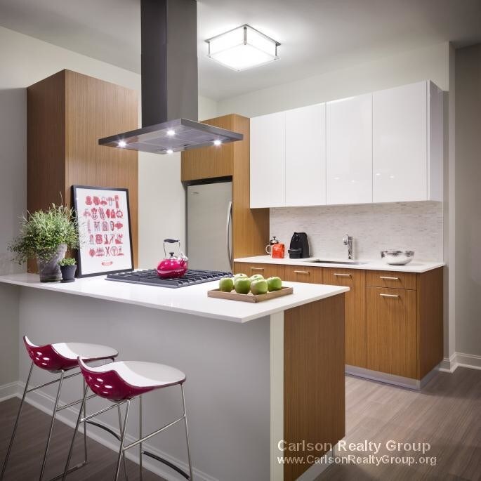 Foto principal - 509 N Lake Shore Dr