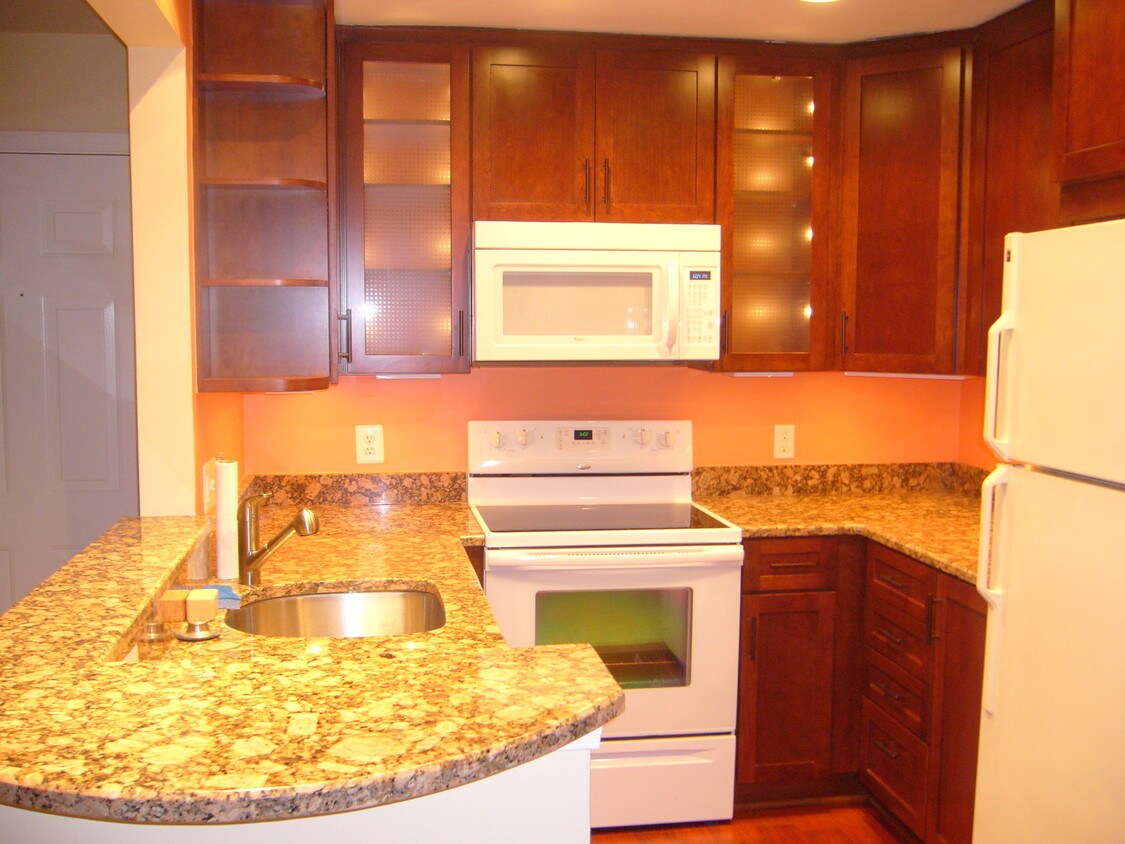 kitchen - 11717 Karbon Hill Ct