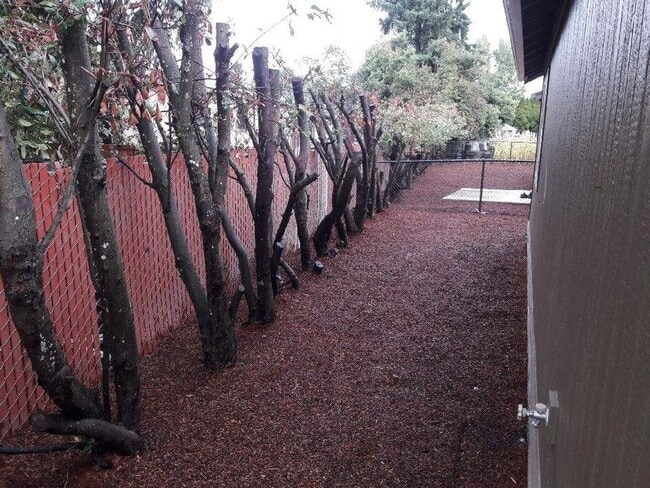 Photo - UPDATED Single Family Home!