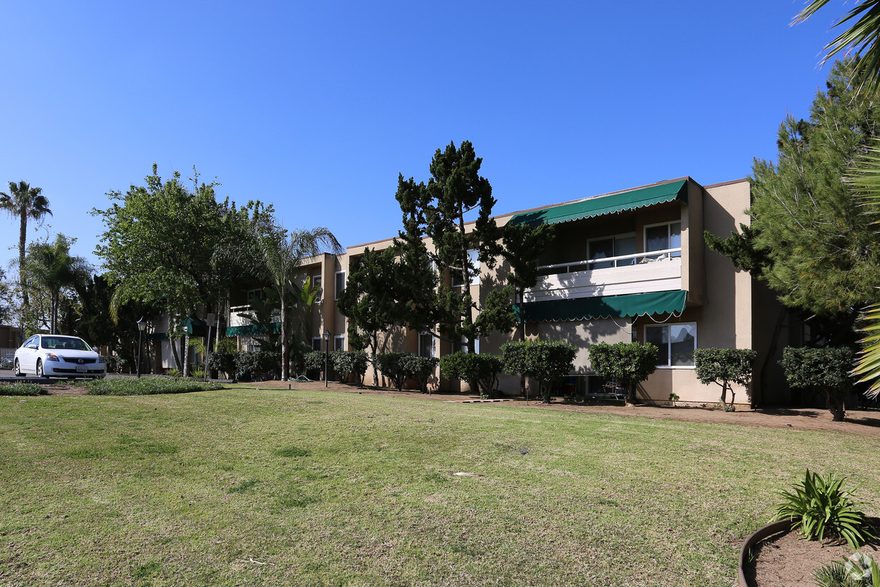 Primary Photo - Olive Tree Apartments