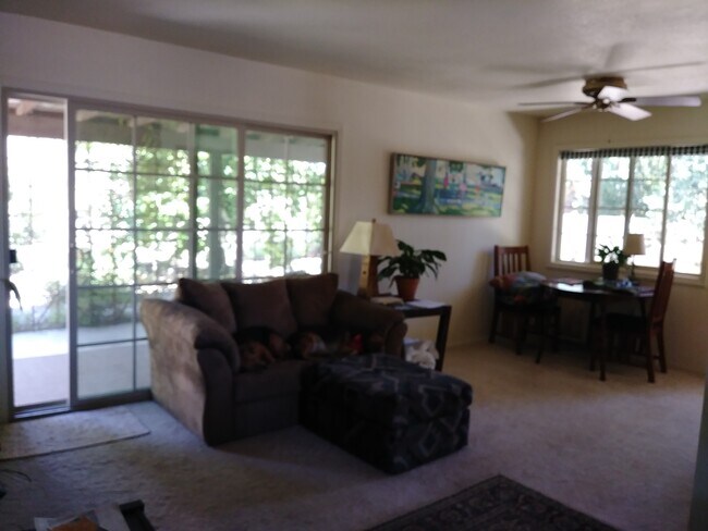 Living room - 2821 N Essel Dr