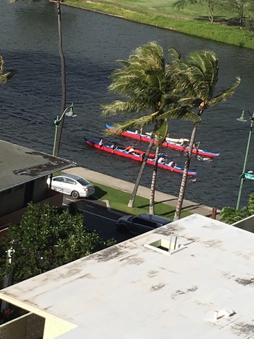 Vista del canal Ala Wai y vista a la ciudad - 2415 Ala Wai Blvd