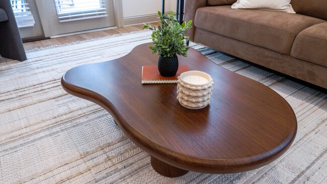 The Opal: 1BR, 1BA- Living Room - The Waters at Bluebonnet