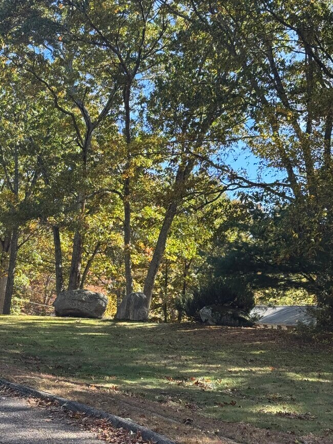 Foto del edificio - 20 Dartmouth Rd