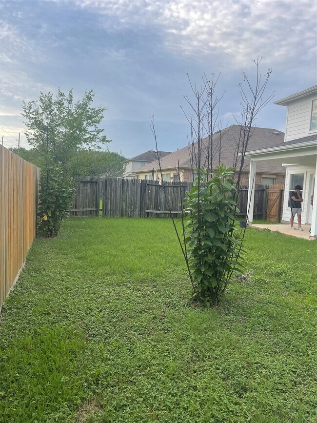 Foto del edificio - 16939 Watering Oaks Ln