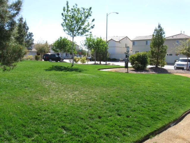 Building Photo - 10614 Corte Sierra St