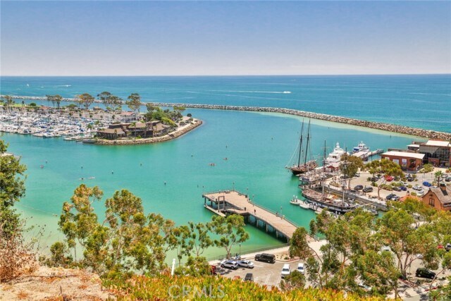 Foto del edificio - 33932 Silver Lantern St