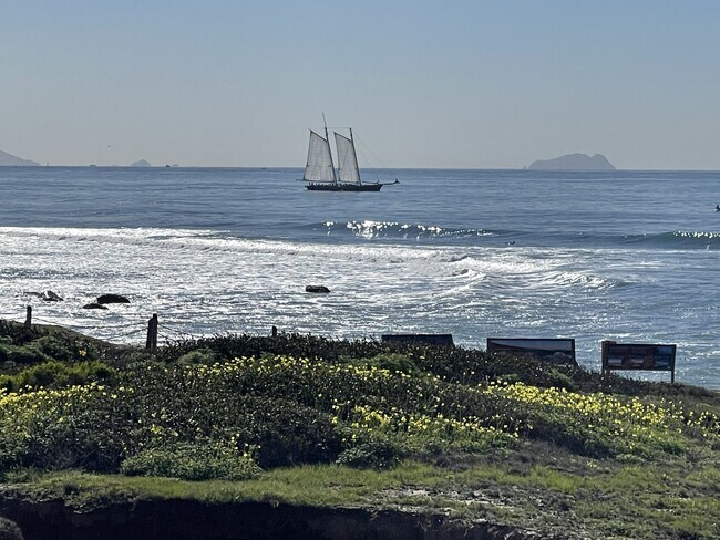 Foto del edificio - 4878 Pescadero Ave