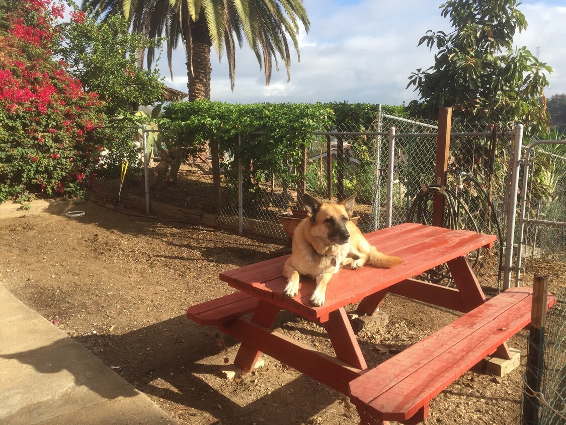 Building Photo - 1126 Buelah Ave