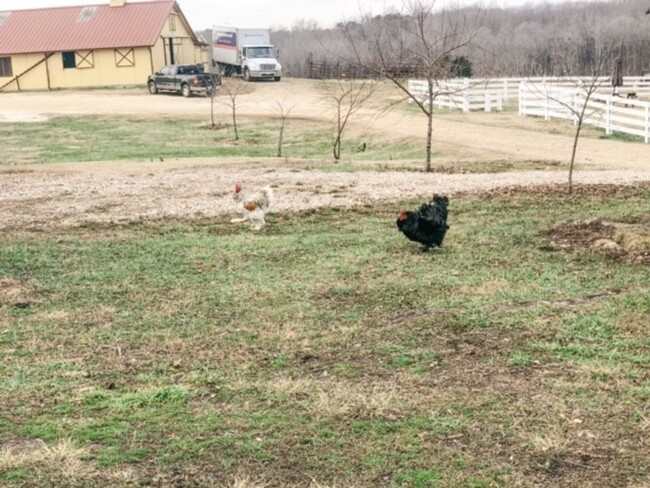 Building Photo - Beautiful 1 bedroom, 1 bath farmhouse with...