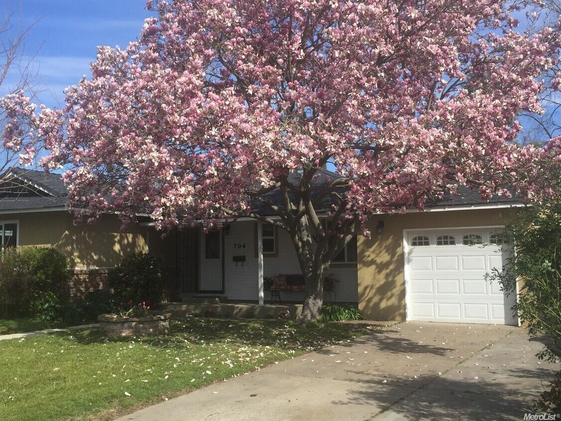 Foto principal - Updated 3bed/1 bath in West Sac