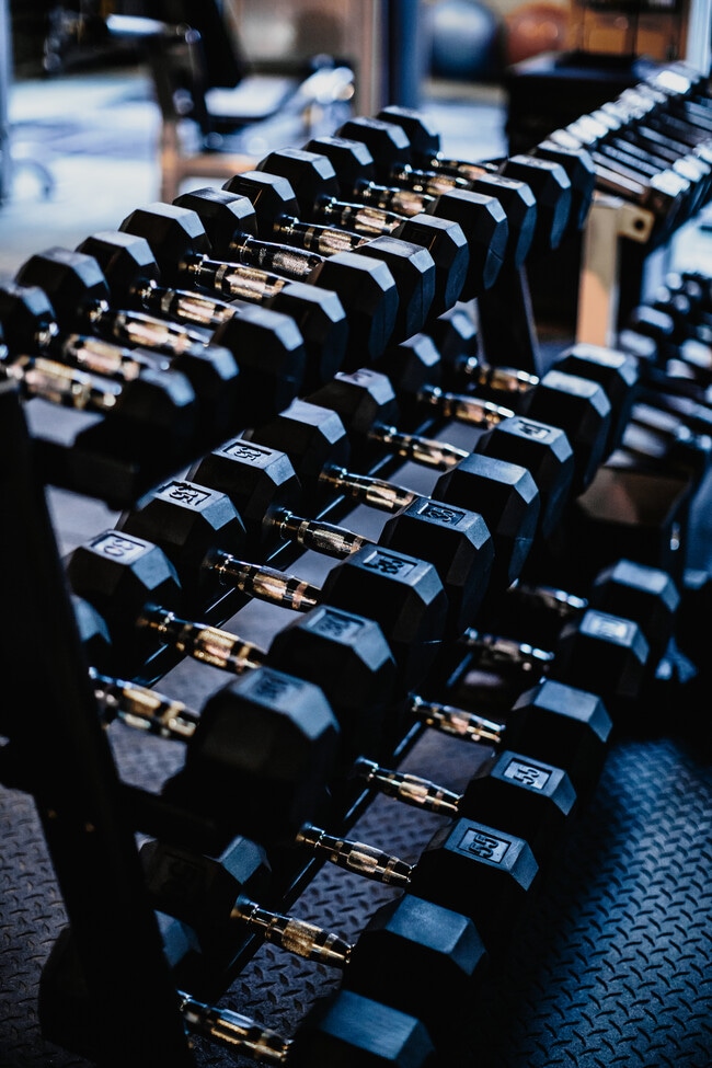 Fitness Center - The Cannery Loft Apartments