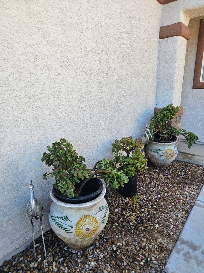 Side of the garage, front entrance - 2539 Sirius Star St