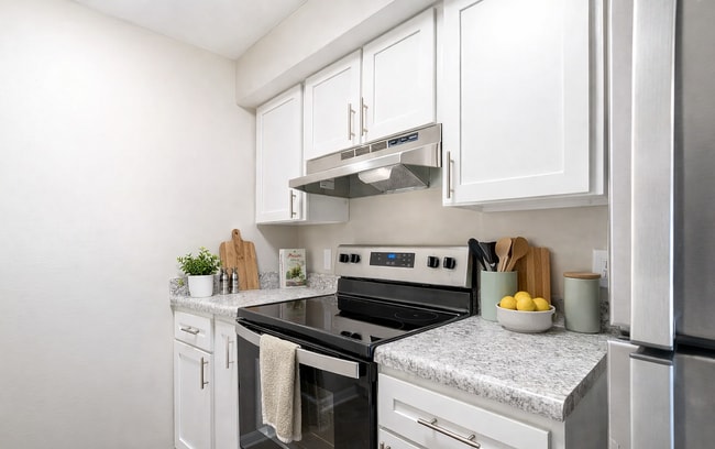 Beautiful Bright Kitchen - Mountain Ridge Apartments