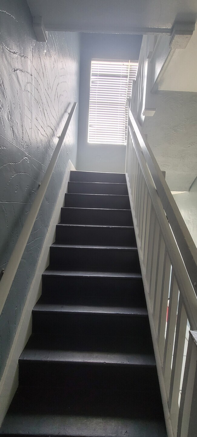 Stairs - 218 w Woodlawn ave