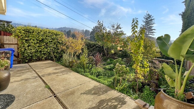Building Photo - Spacious, Bright & Private Home with Huge Backyard on one of the quietest streets of Redwood Heights