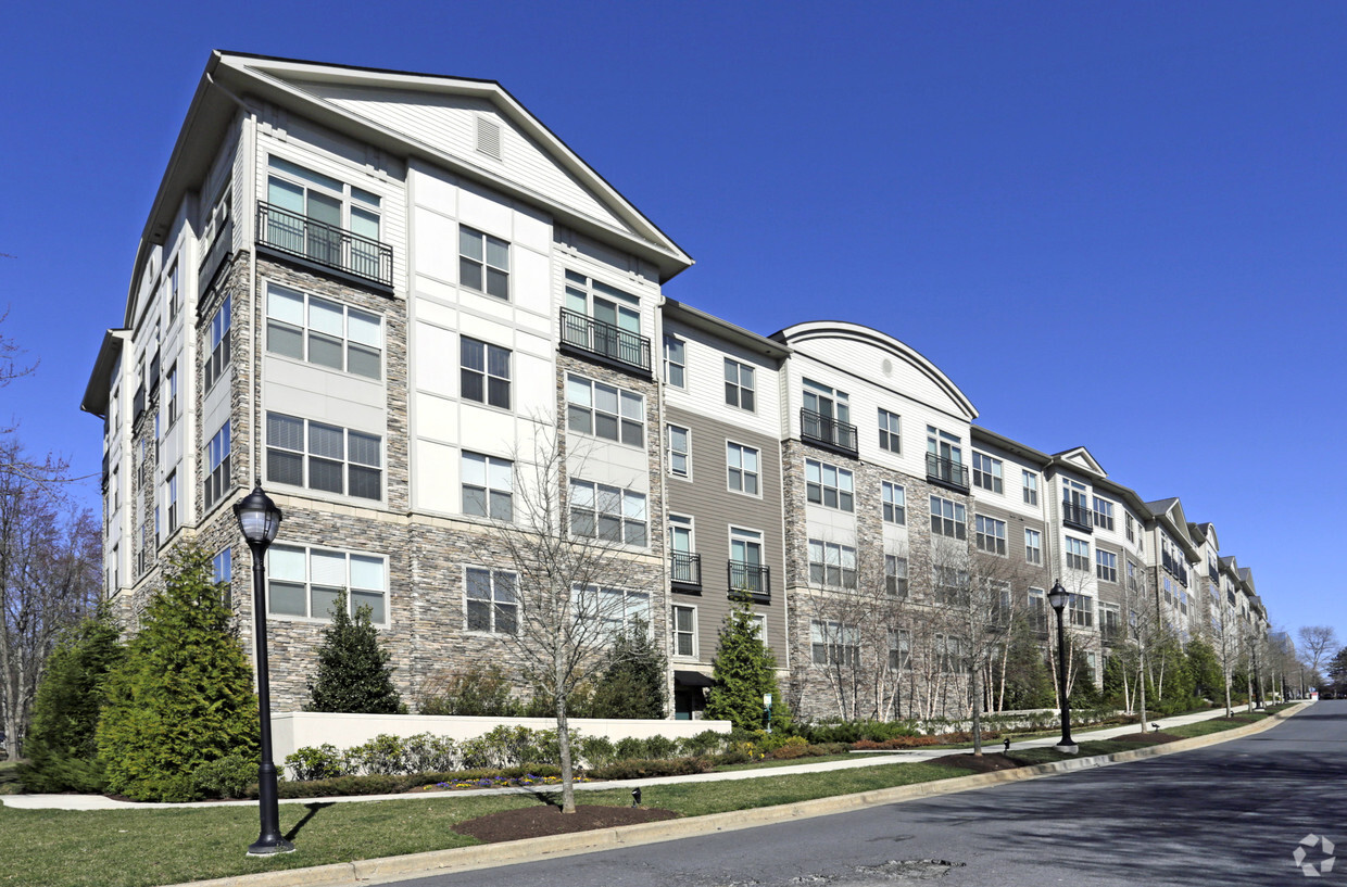 Apartments Near Shady Grove at Jessica Coulson blog