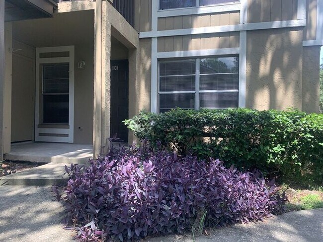 Foto del edificio - RENOVATED CONDO CLOSE TO USF