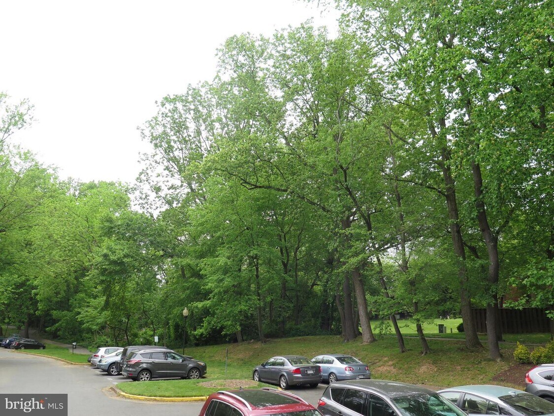 1424 Northgate Square Unit 21B, Reston, VA 20190 Condo for Rent in