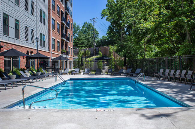 Piscina estilo oasis | Apartamentos en Cincinnati, OH | Las residencias en M - The Residences at MQ