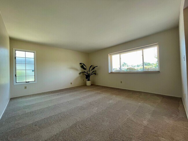 Building Photo - Gorgeous 4 Bedroom 2 Bathroom Home in Bonita!