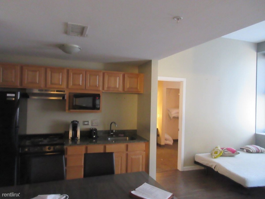 2 br, 2 bath - 55 E Washington St Apt 1701 - 2 br, 2 bath  - 55 E Washington St Apt 1701
