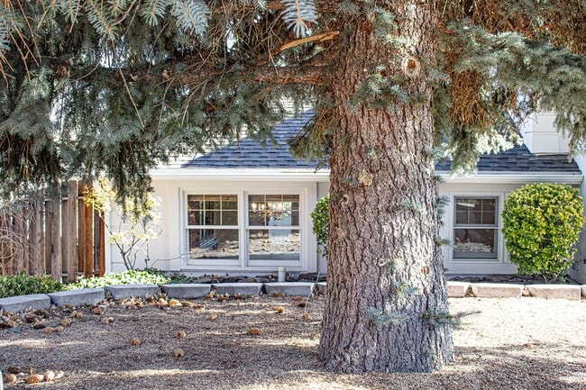 Foto del edificio - Custom home in Southwest Reno, 3 Bedrooms, 2 Bathrooms, Large Garage