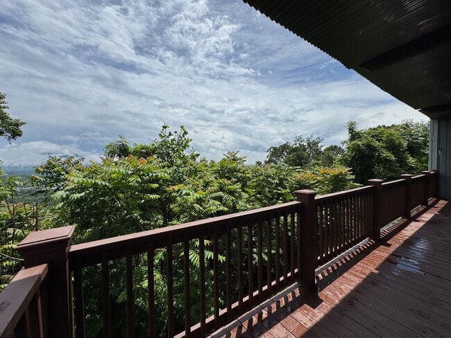 Building Photo - Central AVL - It's all about the view!!!