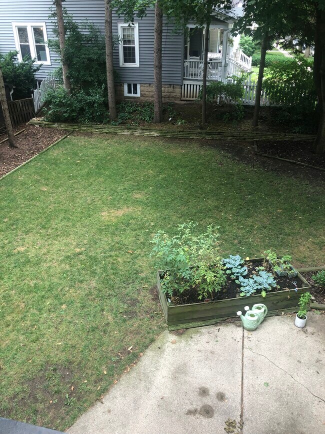 Fenced in backyard - 6533 W Wisconsin Ave