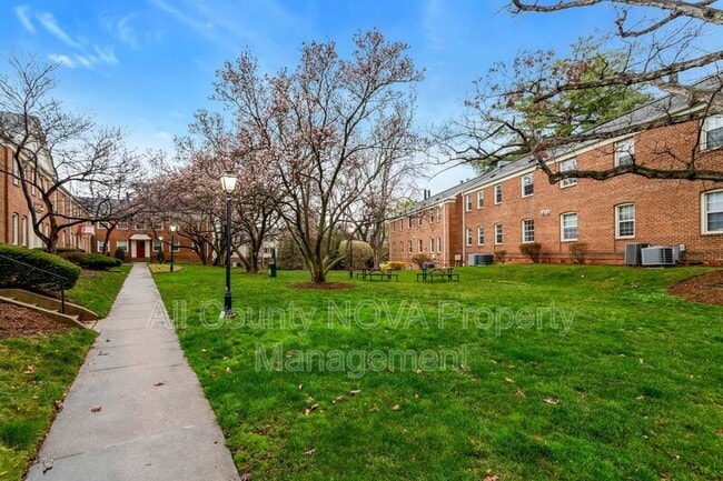 Photo - 2405 Arlington Blvd Apartment