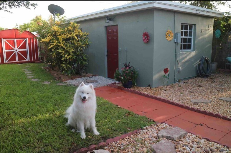 Primary Photo - Scott Street Guest House