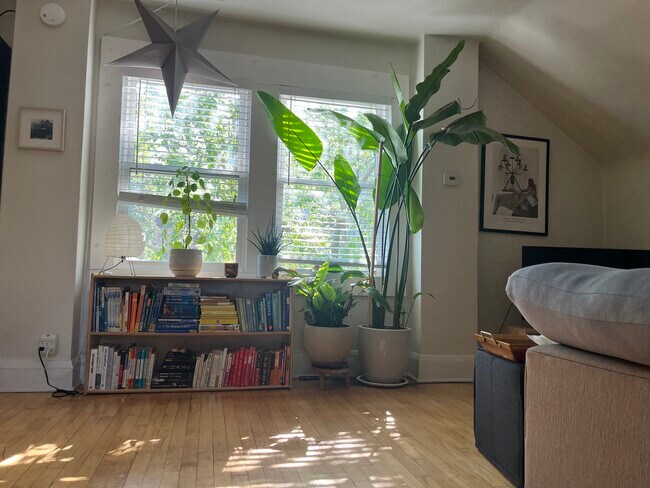 Foto del edificio - 1315 29th Ave NE