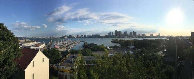 Vista desde la cocina y el dormitorio trasero. - 201 Webster St