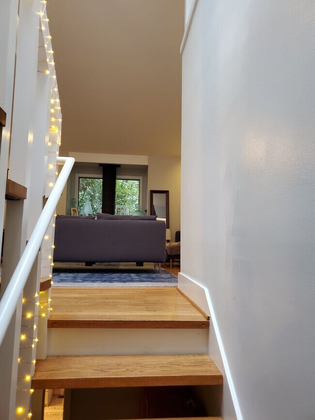Foto del edificio - Updated Christmas Tree Hill Single-Family ...