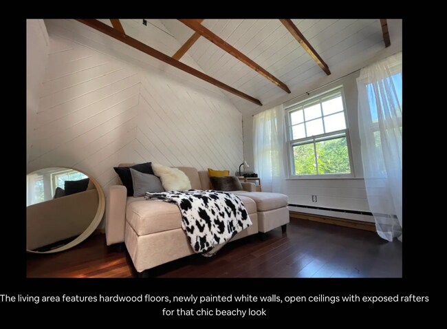 Lofty space with brand new sleeper couch (there is now also a closet with a mirror) - 332 Old Canoe Place Rd