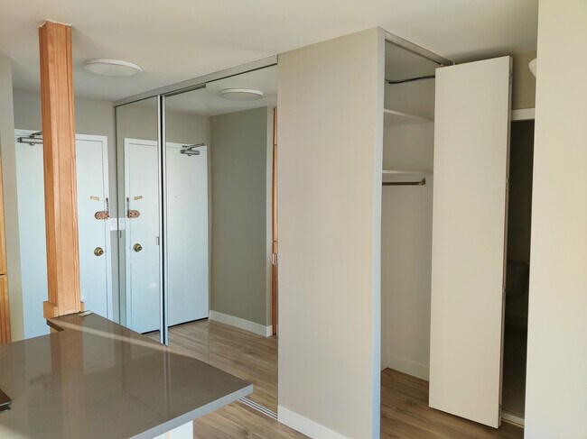 Entry with closet - 1355 N Sandburg Ter