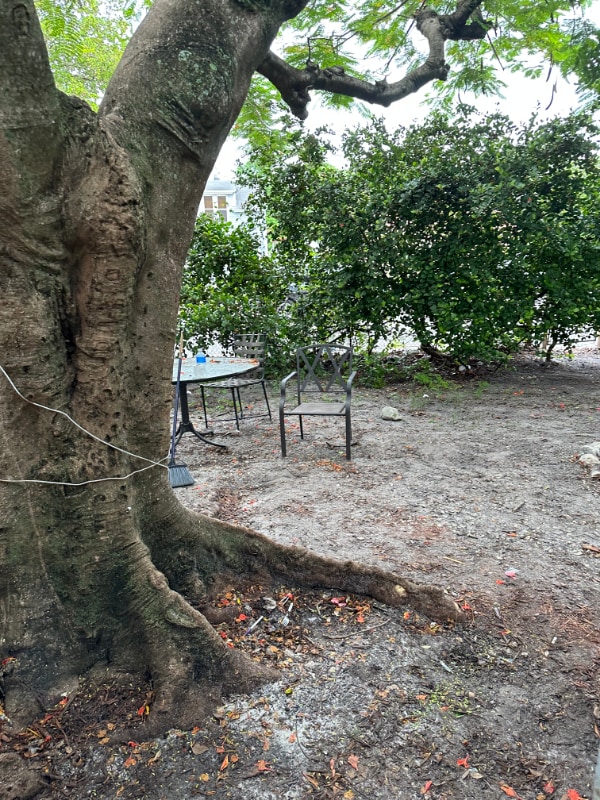 Photo - 1918 Sheridan St House