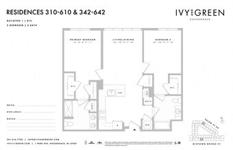 Interior Photo - Ivy and Green
