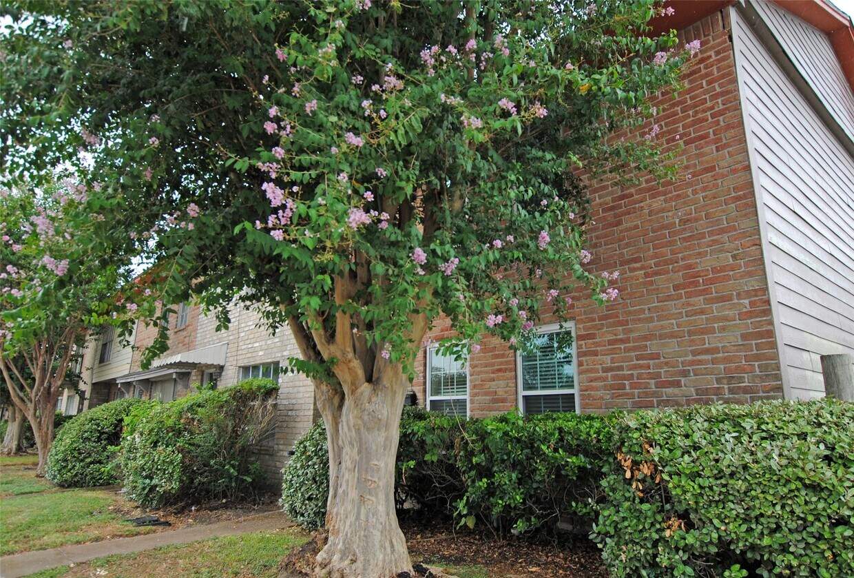 Foto principal - 7853 Fuqua St