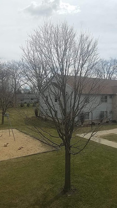 Foto principal - 510 S Fairfield Ave