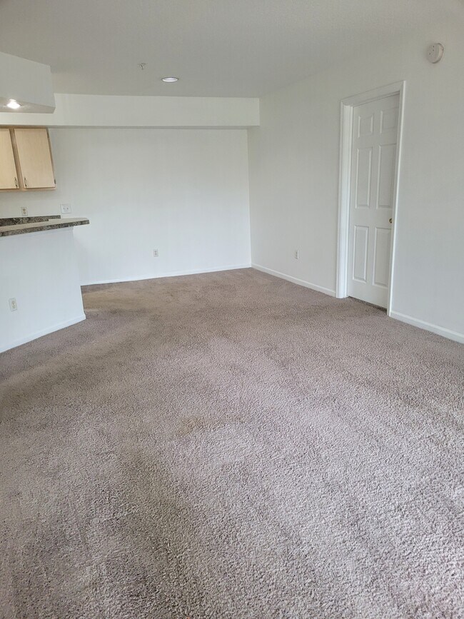 Área de salón - 712 Crest Pines Dr