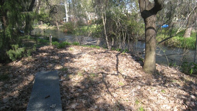 Backyard Creek - 308 Trout Lake